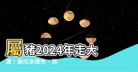 2023屬豬幸運色